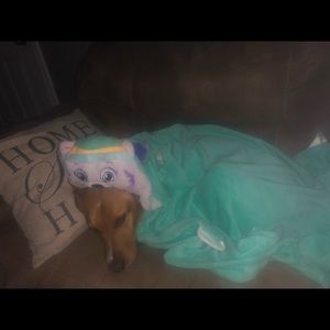 Meet your Posher, Joe